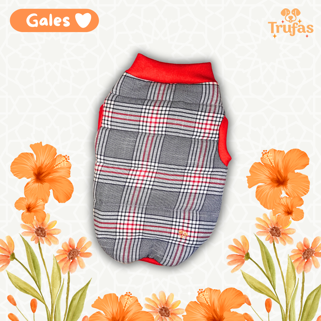 Gales